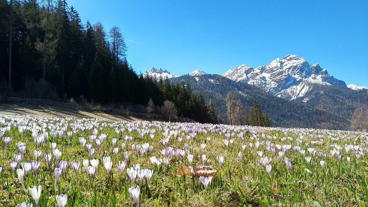 Gite primaverili in Veneto: dove trovare paesaggi adatti a una giornata all’aperto