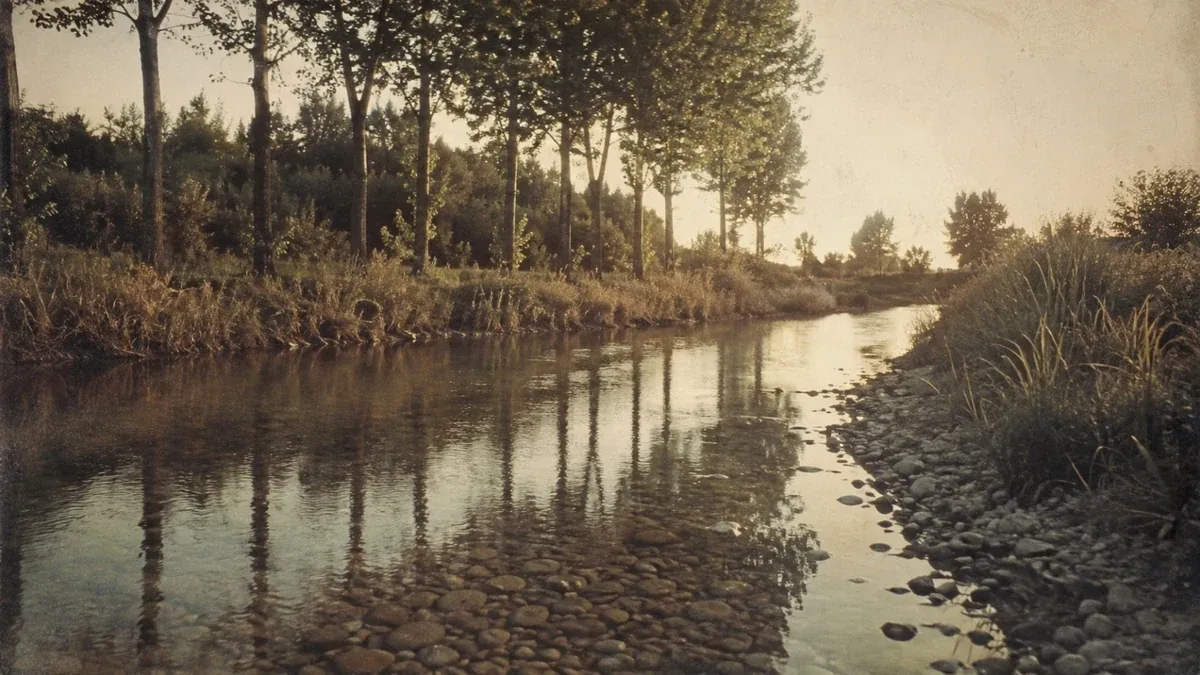Passeggiate lungo i fiumi del Veneto: come scegliere tratti semplici e panoramici