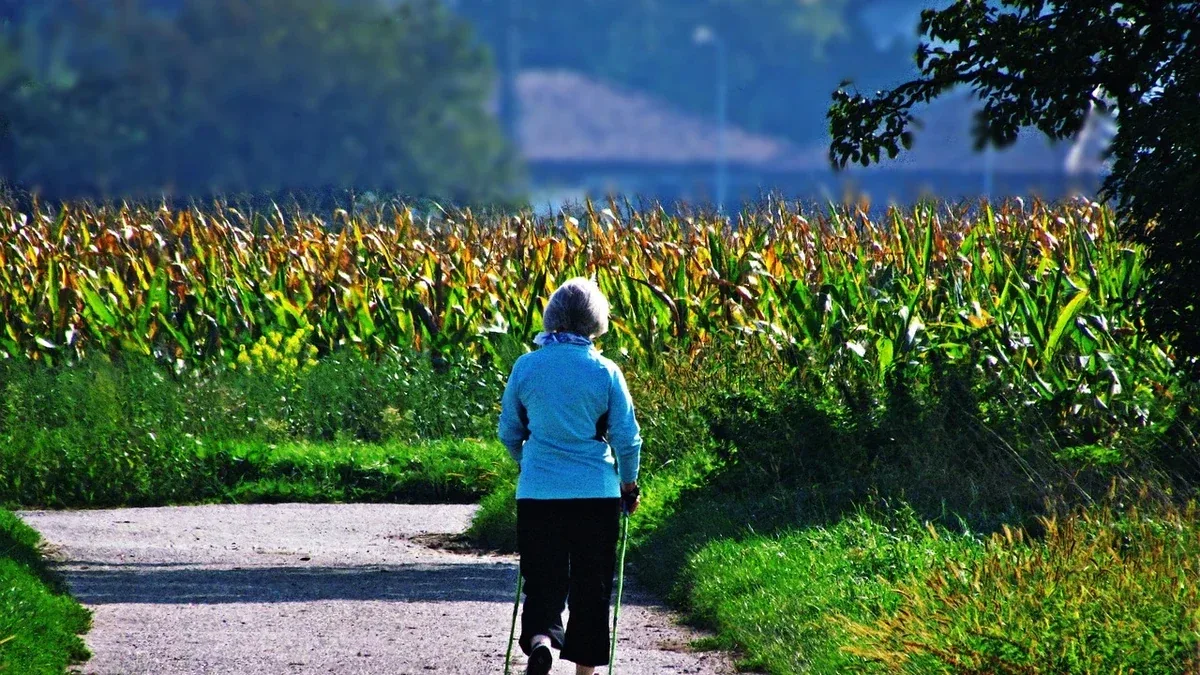 Percorrere un tratto della Via Claudia Augusta in Veneto: cosa verificare prima