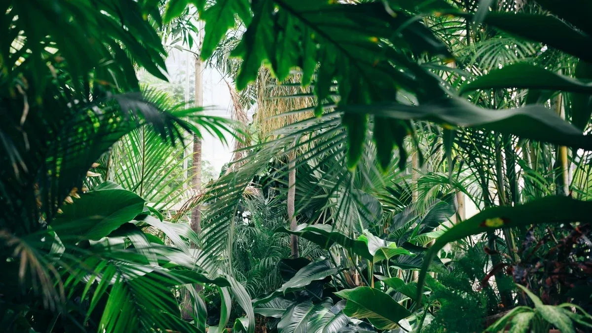 Orto Botanico di Padova: come distinguere l'orto storico dalle serre contemporanee