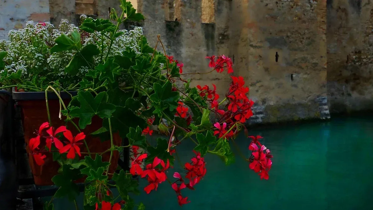 Castello Scaligero di Malcesine: ambienti e vedute da cercare durante la visita