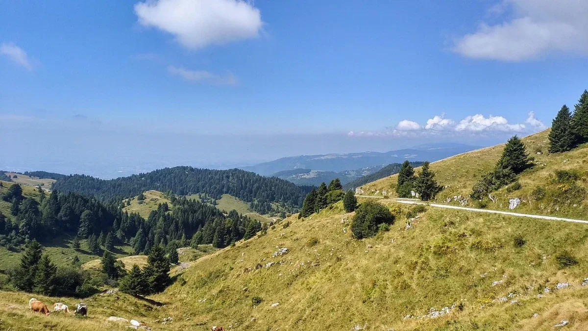 Un’escursione sul Monte Grappa: come scegliere il punto di partenza