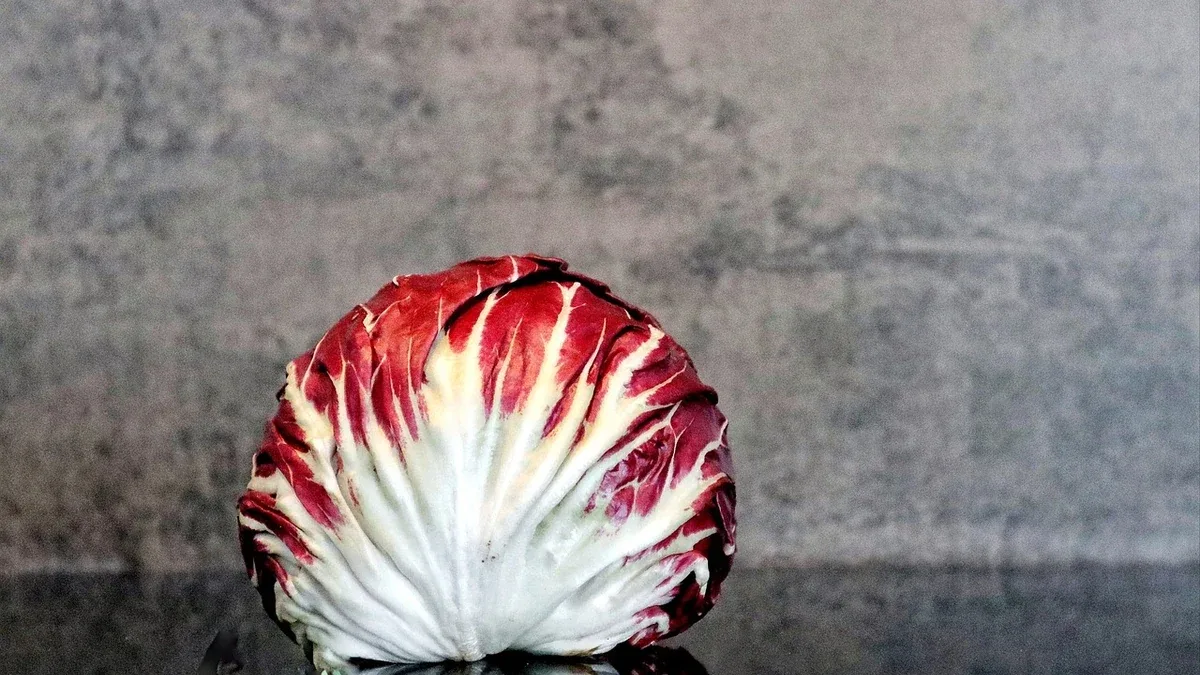 Radicchio di Castelfranco: caratteristiche e uso in cucina